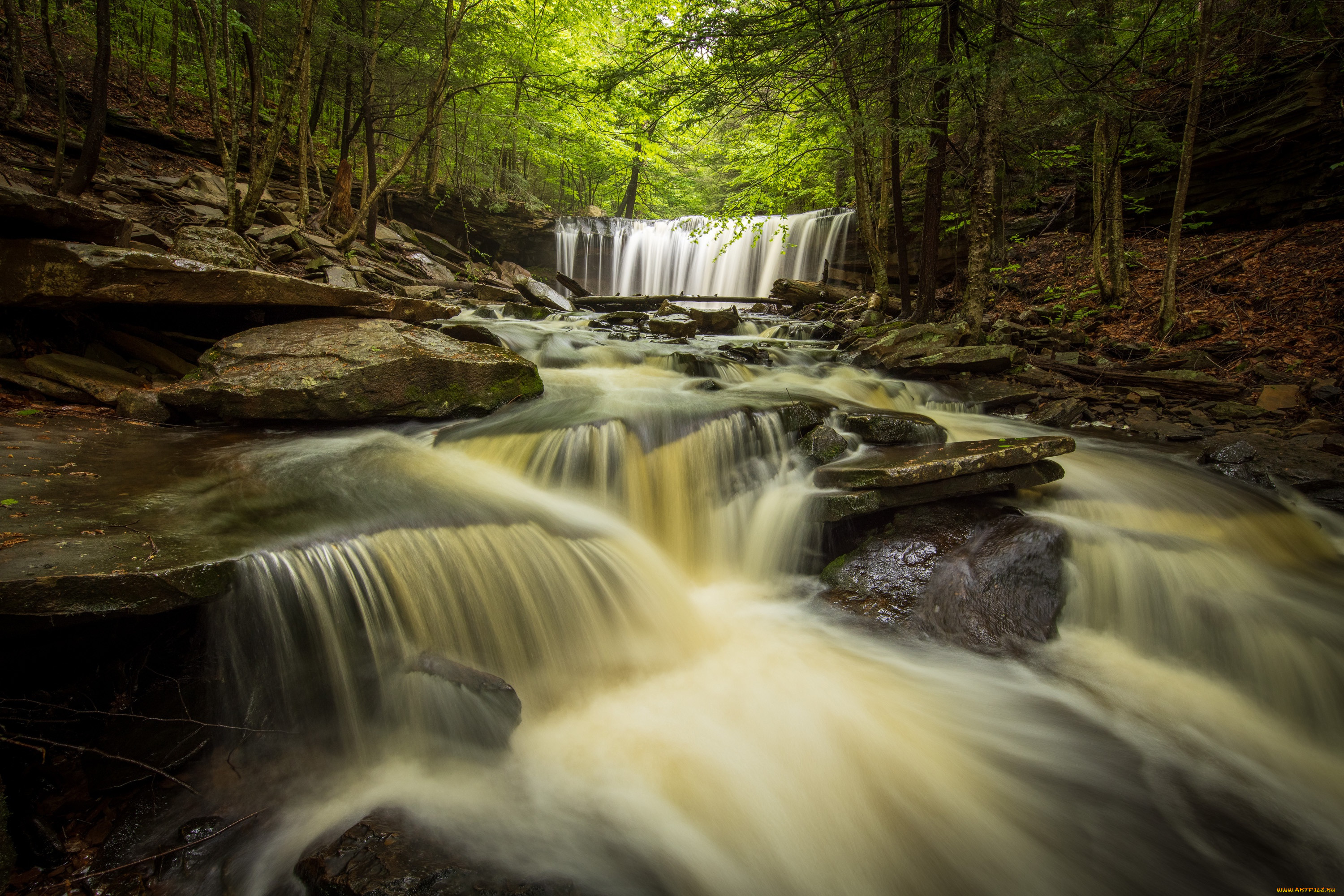 , , , , , , pennsylvania, ricketts, glen, state, park, , , , , oneida, falls, 